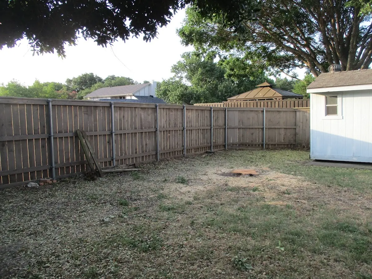 Cleared yard after professional tree removal in Jones